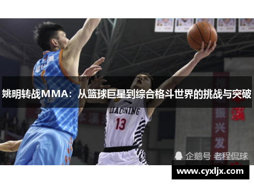 姚明转战MMA：从篮球巨星到综合格斗世界的挑战与突破